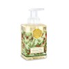 Michel Design Works FOA293 Scented Foaming Hand Soap, Christmas Pine