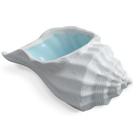 heqxwl Ceramic Jewelry Tray,Conch/Starfish/Shell Trinket Dish, Aqua Shell Trinket Dish Ceramic Ring Earring Holder Ocean-themed Decorative Trinket Plate for Rings Necklaces Bracelet Watch Keys (D)