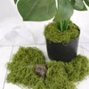VYNYJOAN Fake Moss Green Artificial Moss for Potted Plant, 5.3OZ