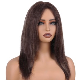 ManeMajesty Ombre Lace Front Wig Human Hair Wear and Go Glueless Wigs Human Hair Pre Plucked Pre Cut HD Lace Wig 180 Density Layered straight Wigs 16 inch FS4/27