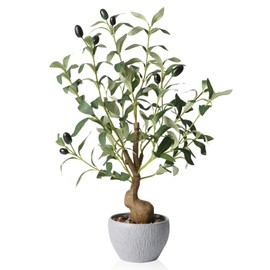 Artificial Black Olive Tree,19.6” Tall Fake Potted Plants,Realistic Decorative Plants Table Indoor Decor,Lifelike Greenry Tree,Fake Olive Tree Gifts for Housewarming Shelf Office Desk Decor