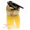 Brass Amber Tooth Shaped Figurine with pliers dentist's present IronWork