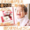 nervousrhinos Beginning Eating Ornament Set, Sea Bream, Teething Stone, 100th