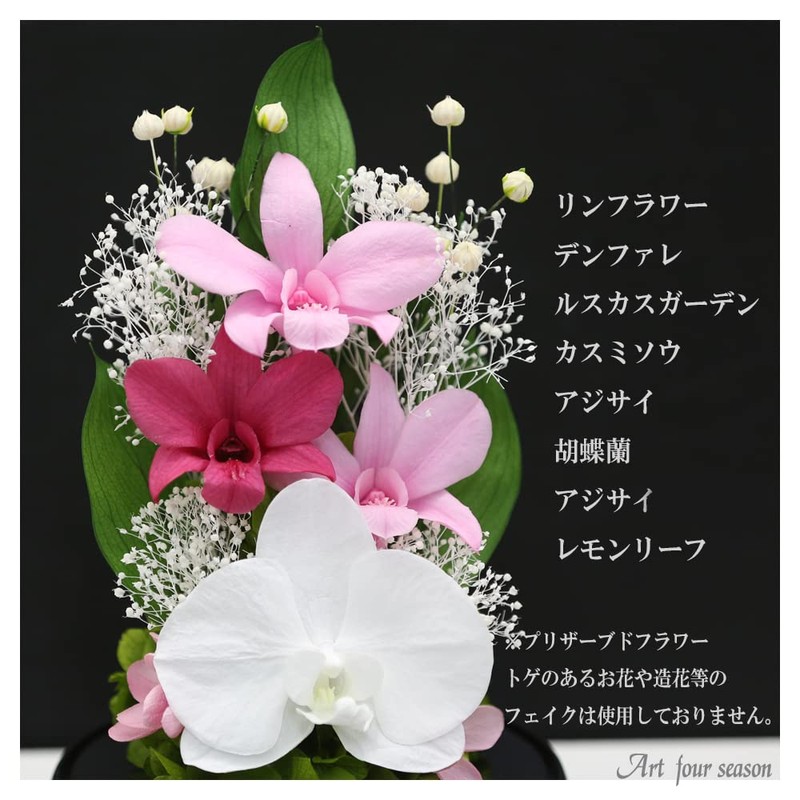 Art Four Seasons Phalaenopsis Denfare Dome Versus Design SET Pink