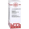 DHU Argentum Metallicum D12 Spreading Balls 10 g Globules
