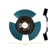 RHODIUS Vision Pro, 10 pieces, diameter 125 mm, K60 flap