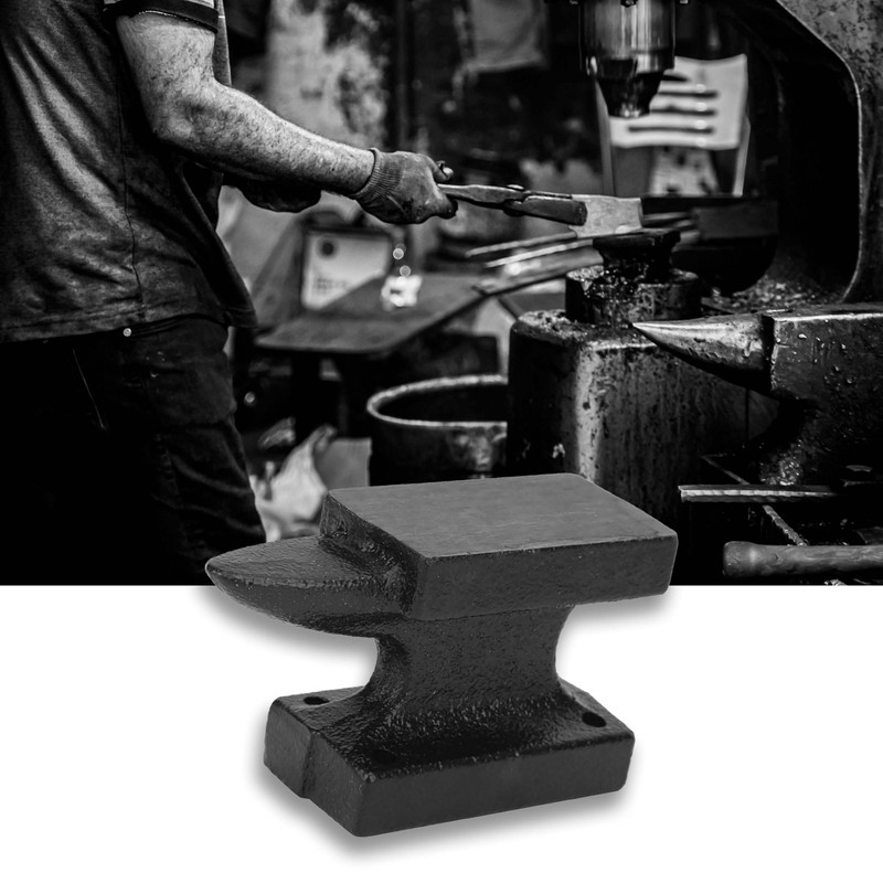 QANYEGN Cast Iron Blacksmithing Tool, Blacksmith Forge Anvil, Anvils for