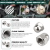 1/2-13 Acorn Hex Cap Nuts (10 pcs), 304 Stainless Steel