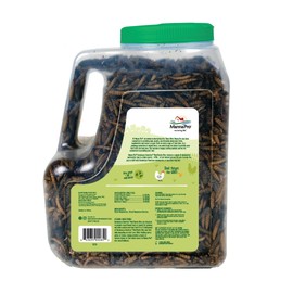 Manna Pro Farmhouse Favorites Beetle Bliss Poultry Treat – Blend of Mealworms and Beetles – All Natural Treat for Chickens, Ducks, Geese, Turkeys, & Guinea Fowl – 45% Protein – 25oz