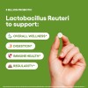 Natural Foundation Supplements Lactobacillus Reuteri Probiotic Supplement 240 Tablets 3