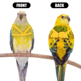 Parrot Harness and Lead, Adjustable Pet Parrot Bird Harness and Leash, Adjustable Anti-Bite Bird Nylon Rope, Bird Harness and Lead for Outdoor Use