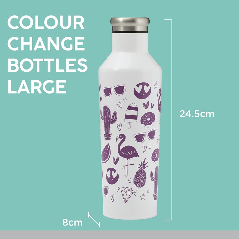 Typhoon Pure 800 ML Colour Changing Steel Water Bottle with
