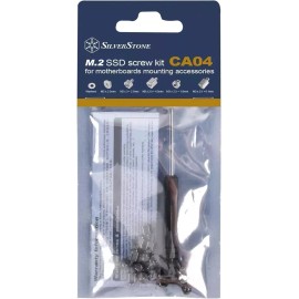 SilverStone Technology CA04 M.2 SSD Screw Kit for Motherboard Accessory Mounting