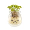 Kishima Artificial Ornamental Plant, Green, 2.6 inch (6.5 mm) x