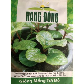 The Plant Attraction 30 Organic Red  Stem Malabar Spinach Alugbati Mong Toi Poi Sang