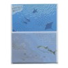 TL065 Transparent Envelope Scenery Letter Set (Sea and Fish) Tracing