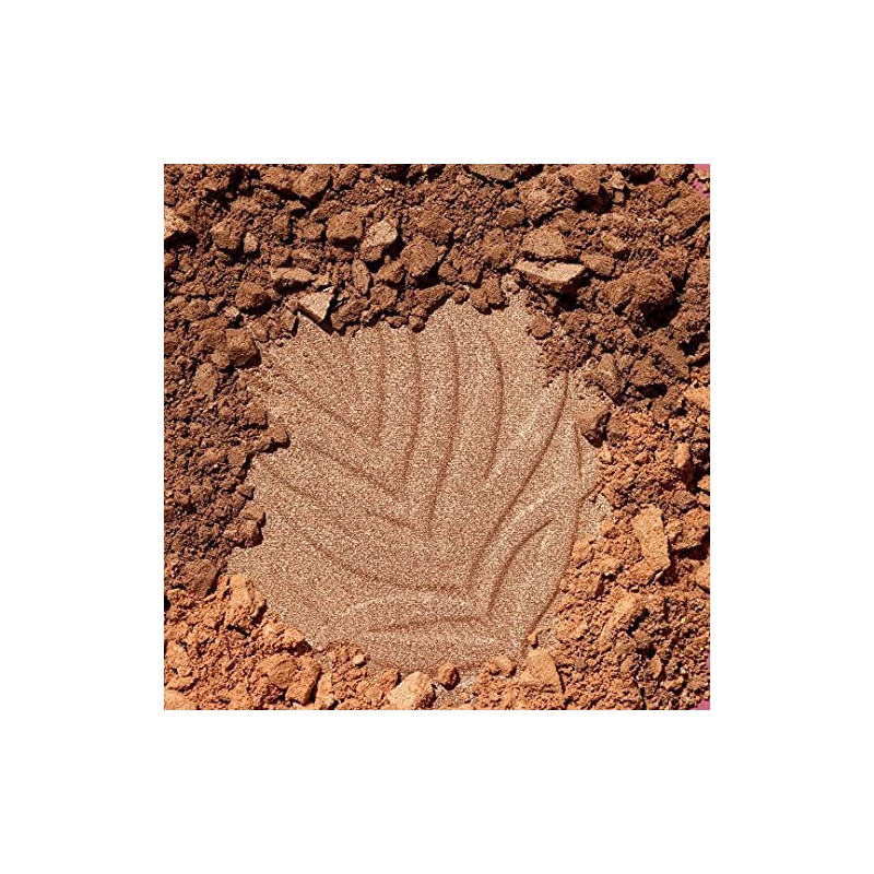 Wet n Wild Color Icon Bronzer Polvo Bronceador Sunset Striptease