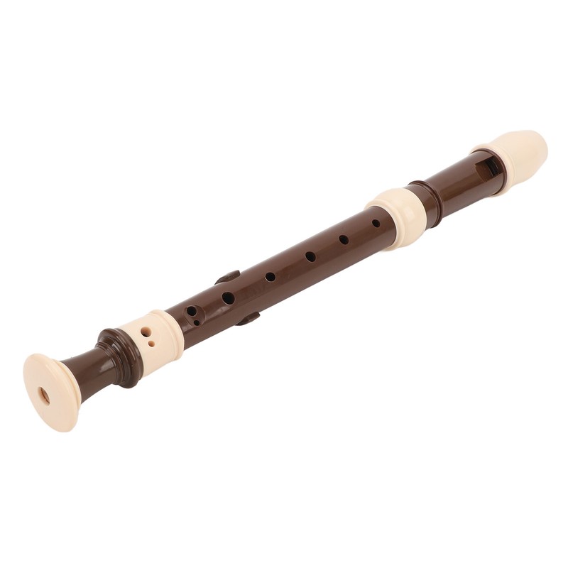 8 Hole Recorder Detachable Soprano Recorder Musical Instrument with Cleaning