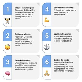 Sapientia Serotonina Nootrópico 100 Natural Gluconato Zinc Pasiflora Teanina Selenio