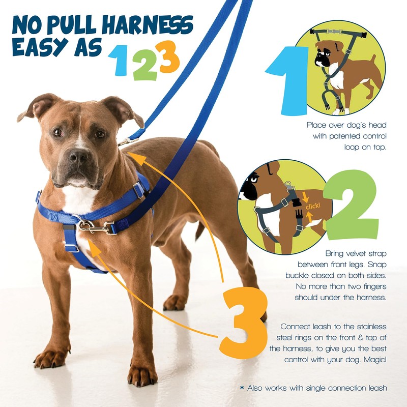2 Hounds Design - Freedom No-Pull Harness & Training Leash