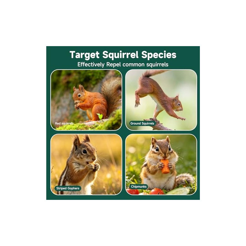 24 Pack Natural Rodent Repellent Balls with Peppermint Oil