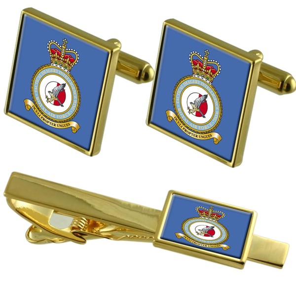 Royal Air Force Tac Imagery Intel Wing Gold Cufflinks Tie