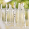 Birch Bark Love Print Paper Drinking Straw (Pack of 25)