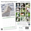 Baker and Bray West Highland White Terrier Kalender 2026, großer