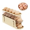 Egg Holder Refrigerator, Egg Slide for Fridge, Automatic Rolling Egg