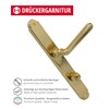 Long Plate Door Fitting Brass Door Handle - Old Vienna