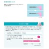 Dental Systemma Interdental Brush, Small x 2 Set