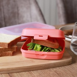 Engelland 2 x Lunch Box Salmon Plastic BPA Free Lunch Box Lunch Box Lunch Box Plastic Container for Kids 14 x 14 x 5 cm