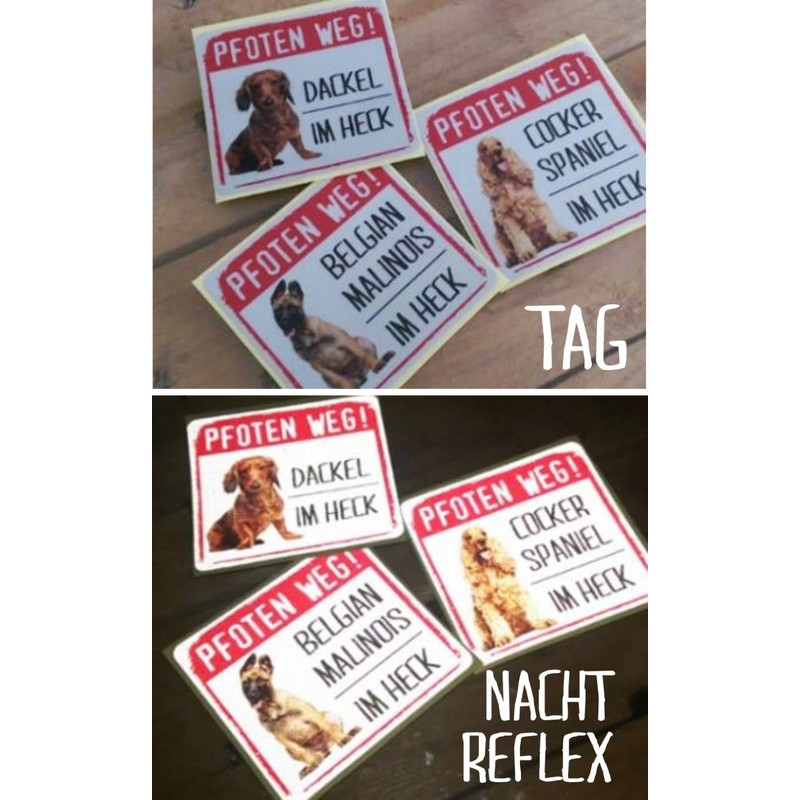 siviwonder Lagotto Romagnolo Sticker Paws Way Dog Sticker Film Dog
