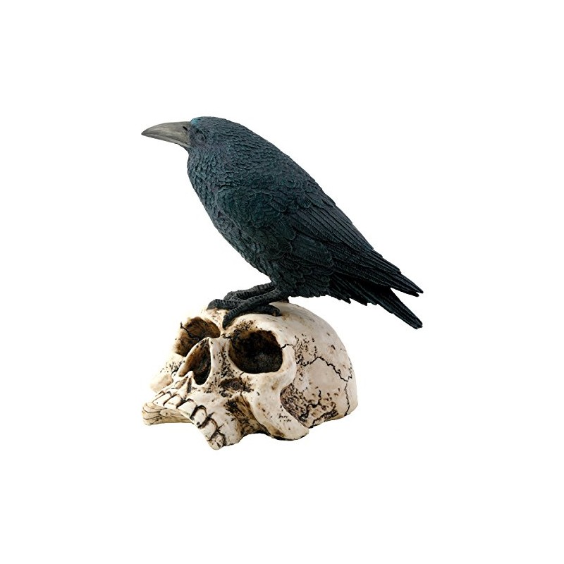 Raven on Skull Collectible Bird Crow Skeleton Figurine Statue Model