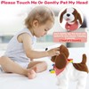 Walking Dog Toy Interactive Dog Toy Leash Plush Pets Puppy