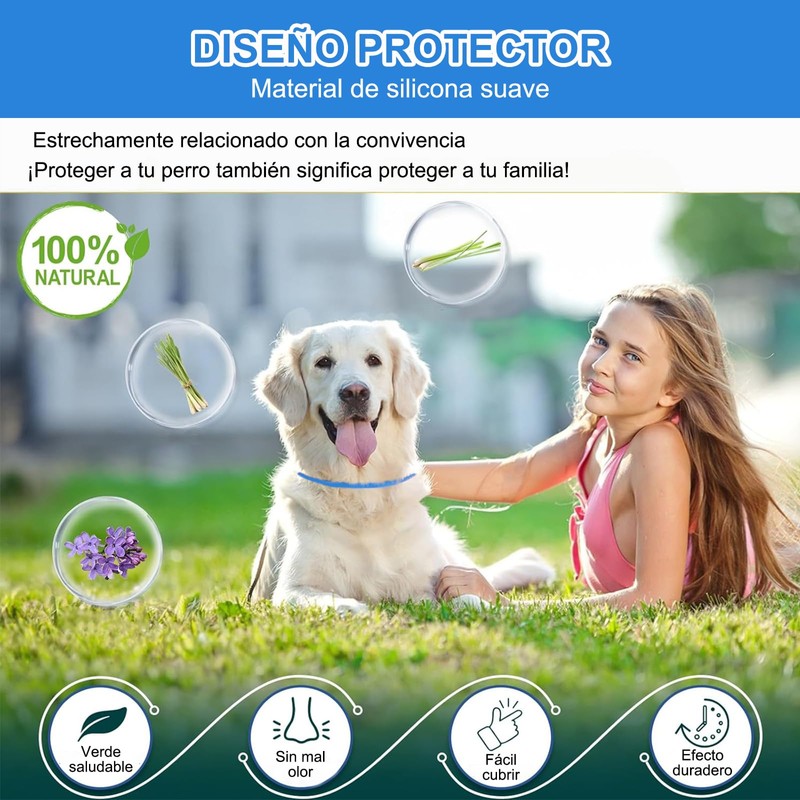 RYEWGRV 4 Pieza Collar con Hebilla, 65CM/26.6in (Azul)