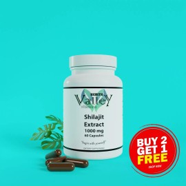 HEALTH VALLEY VITAMINS Shilajit Extract 1000mg, Stress, Anxiety, Skin Vitality, Healthy Heart, Fatigue