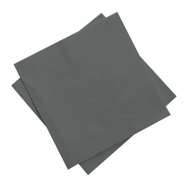 DecorRack 48 servilletas de papel pequeñas, suaves y absorbentes, servilletas de cóctel, fiesta de cumpleaños, color plateado (paquete de 48)