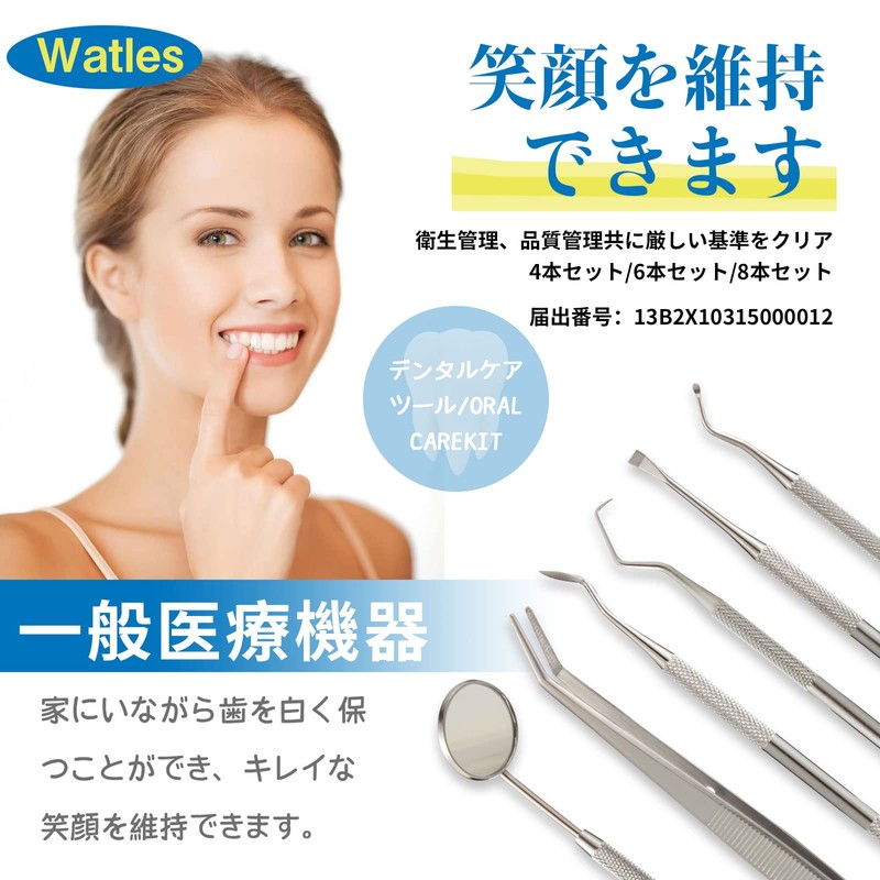 Watles 歯石除去キット 歯石取り スケーラー 歯石取り器具 歯用ツール [一般医療機器]