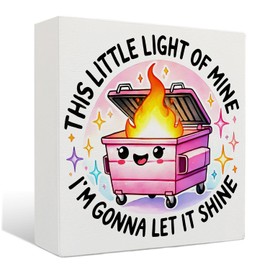 Nrleey Dumpster Inspirational wooden sign - Dumpster Gift, the Little Light of Mine wooden box signs, Motivational signs for Office decor, 12x16 Inch (3)