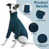 Whippet Jumper, Shirt Whippet Turtleneck Pullover, Italian Greyhound Coat, Italian