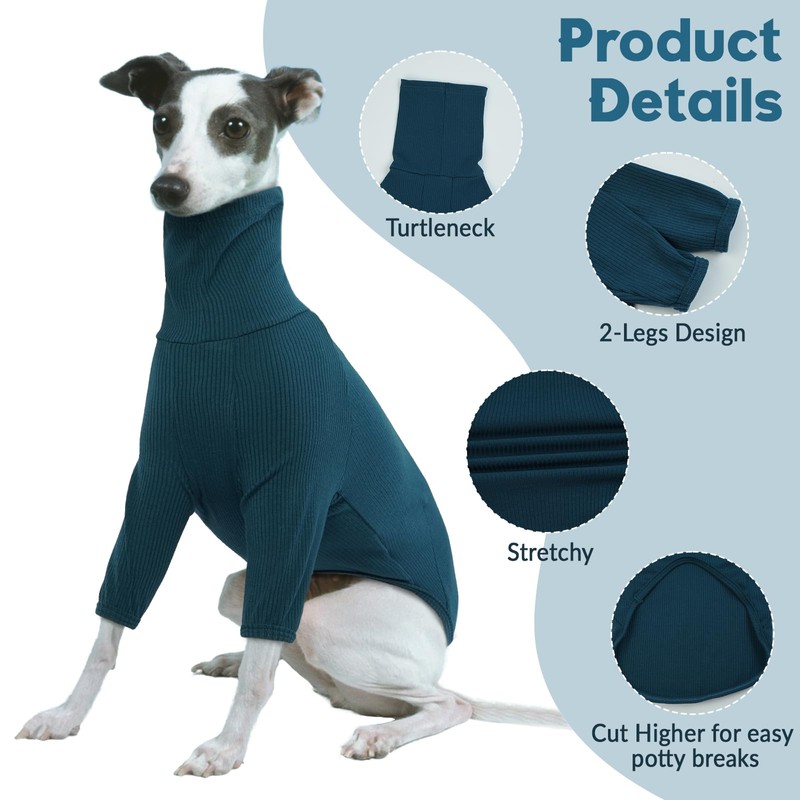 Whippet Jumper, Shirt Whippet Turtleneck Pullover, Italian Greyhound Coat, Italian