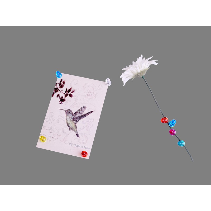 Magenesis 60 Stück Extrem Staker Neodym Magnet 11 x 17mm