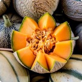 20+ Seed Melon Fruit Seed for Planting Outdoor-Non-GMO Heirloom Sweet Fruit Plant in Your Home Garden