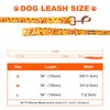 Tunkoo Premium Dog Leash with Sunflower Floral Pattern - Stylish,