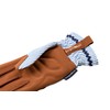 Burgon & Ball Colour Collection Gloves - Blue Stripe