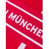 FC Bayern München Hand Towels, Guest Towels, Set of 2,