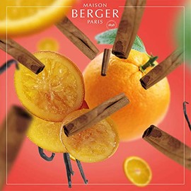 MAISON BERGER Maison Berger - Lampe Berger Refill Orange de Cannelle - gebrauchsfertig - Parfmiert und reinigt - Feine, gleichm??ige und langanhaltende Wirkung - 500ml