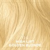 Clairol Crème Permanent 12G High Lift Golden Blonde