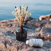 Brakula Reed Diffuser Set, 6.09 fl oz (180 ml)- Fresh